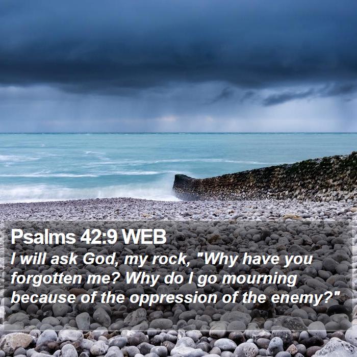 Psalms 42:9 WEB Bible Study