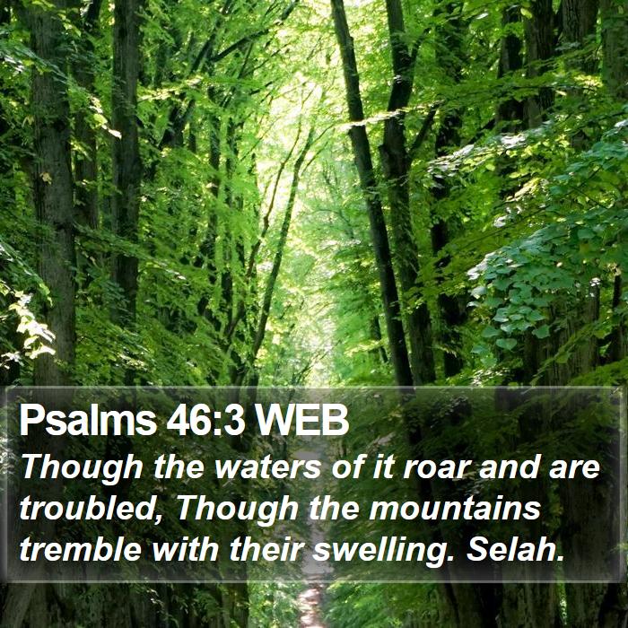 Psalms 46:3 WEB Bible Study