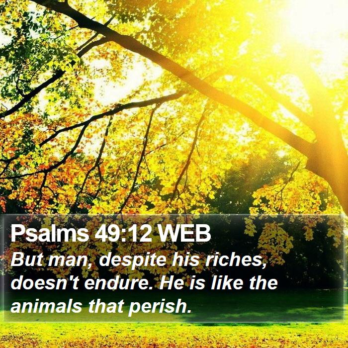 Psalms 49:12 WEB Bible Study