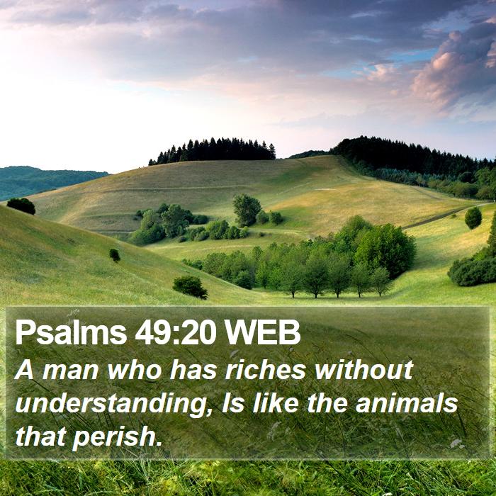 Psalms 49:20 WEB Bible Study