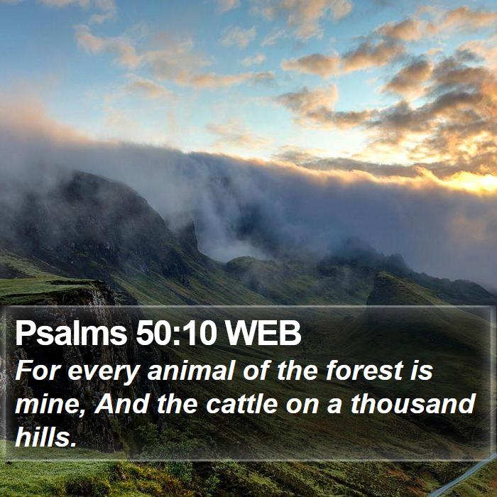 Psalms 50:10 WEB Bible Study