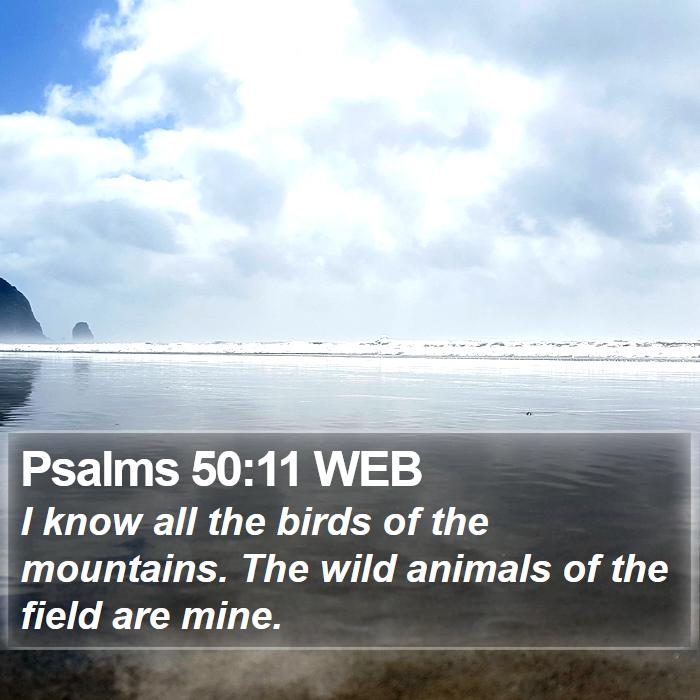 Psalms 50:11 WEB Bible Study