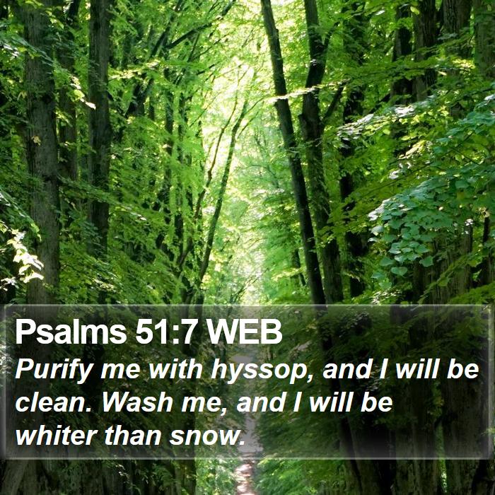 Psalms 51:7 WEB Bible Study