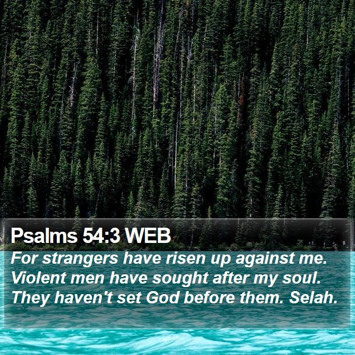 Psalms 54:3 WEB Bible Study