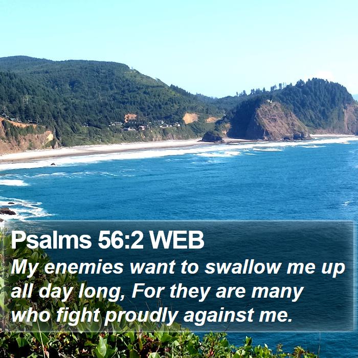 Psalms 56:2 WEB Bible Study