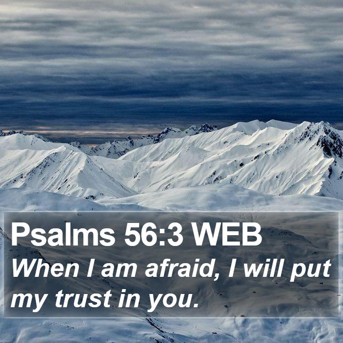 Psalms 56:3 WEB Bible Study