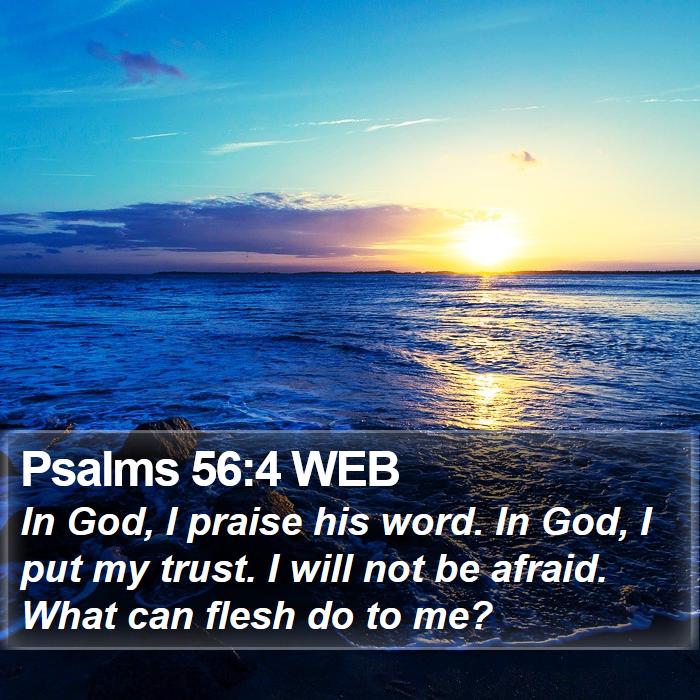 Psalms 56:4 WEB Bible Study