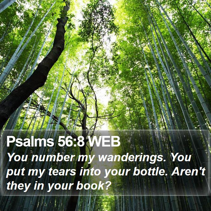 Psalms 56:8 WEB Bible Study