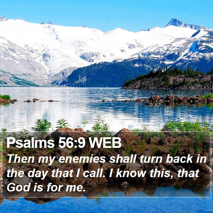 Psalms 56:9 WEB Bible Study