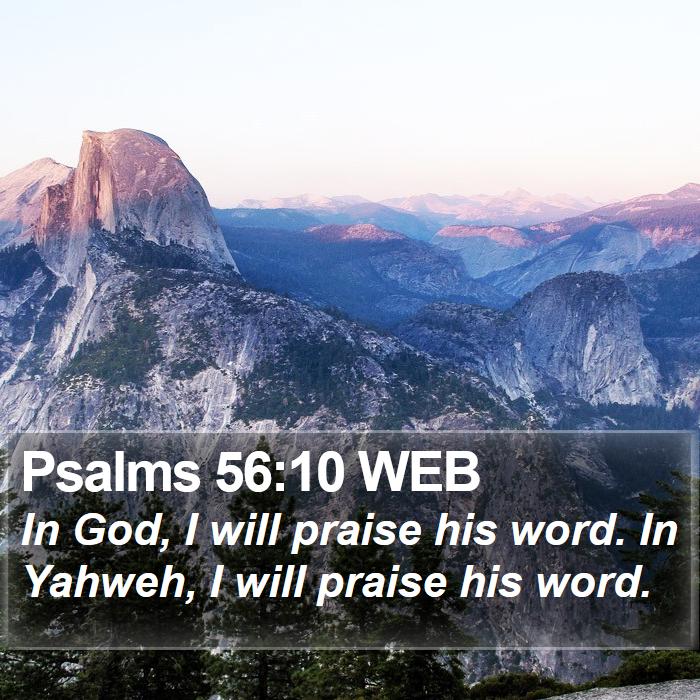 Psalms 56:10 WEB Bible Study