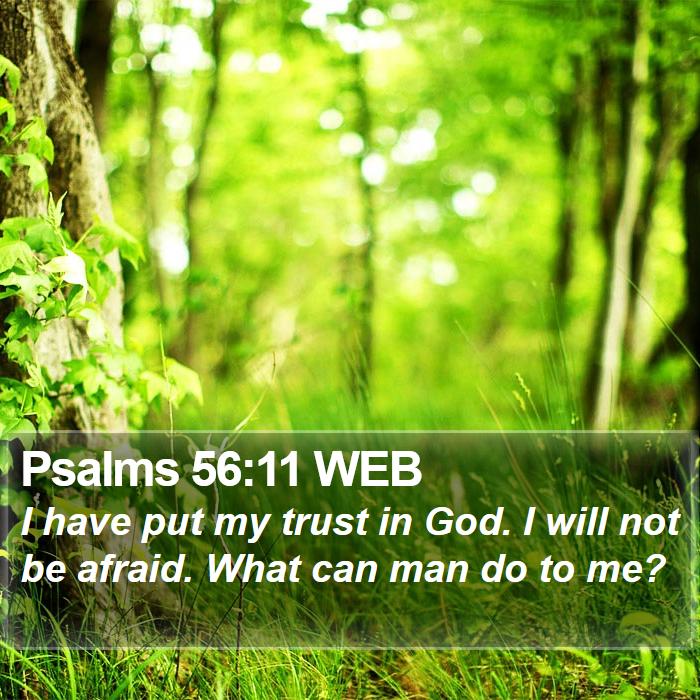 Psalms 56:11 WEB Bible Study