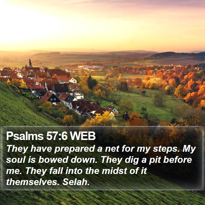 Psalms 57:6 WEB Bible Study