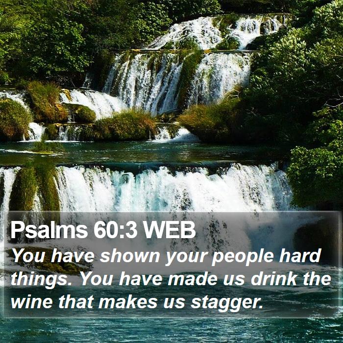 Psalms 60:3 WEB Bible Study