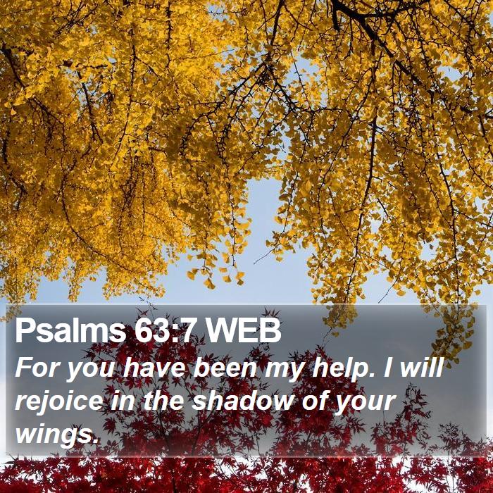 Psalms 63:7 WEB Bible Study