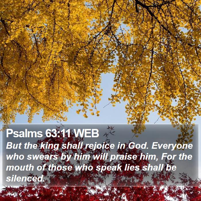 Psalms 63:11 WEB Bible Study