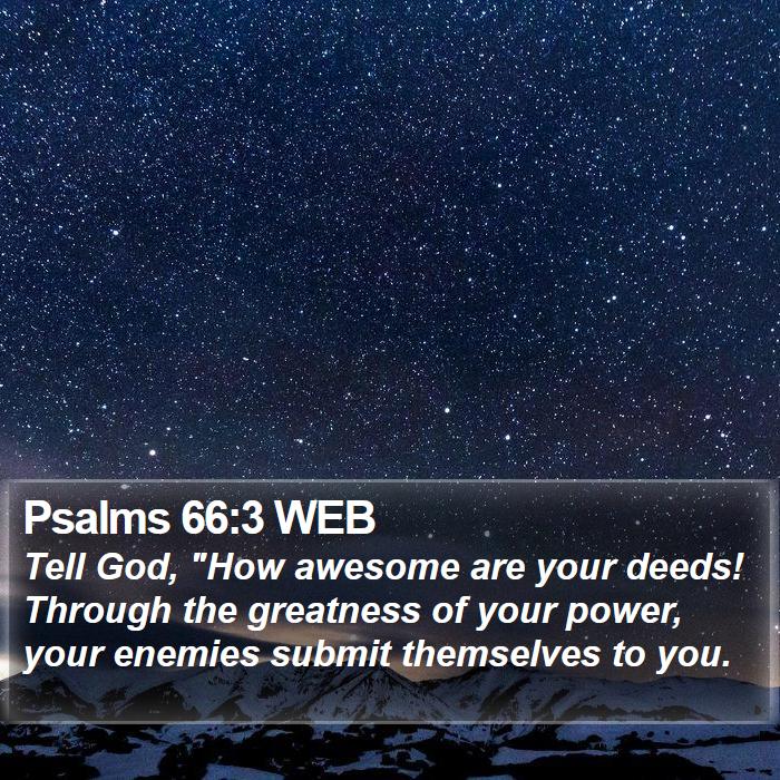 Psalms 66:3 WEB Bible Study