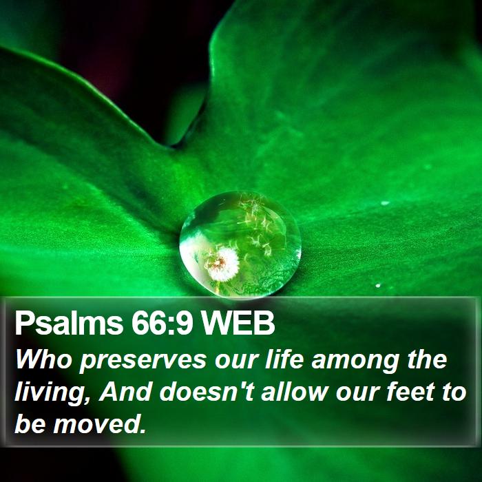 Psalms 66:9 WEB Bible Study