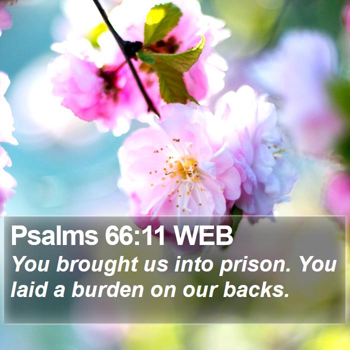 Psalms 66:11 WEB Bible Study