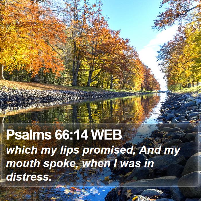 Psalms 66:14 WEB Bible Study