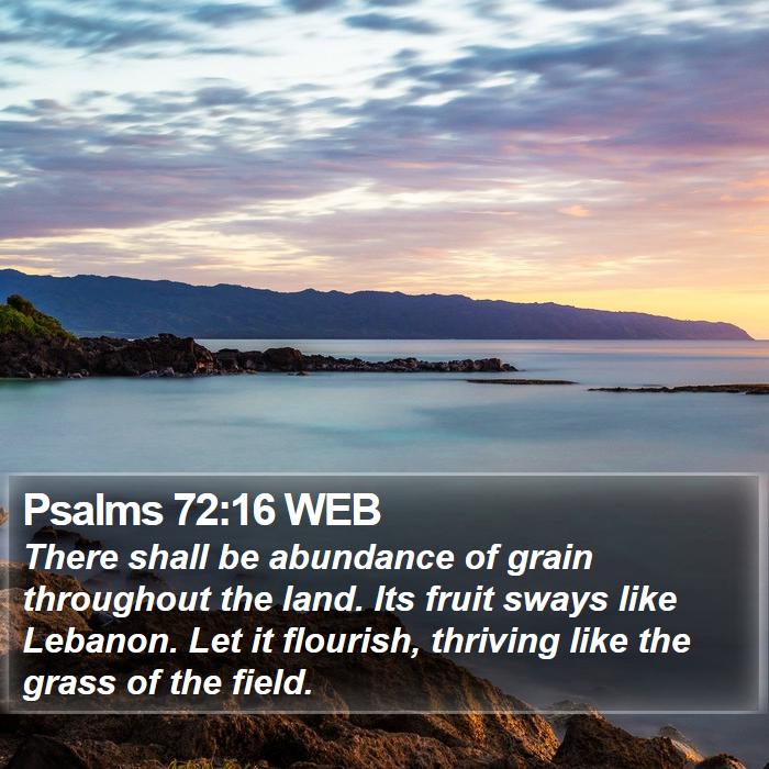 Psalms 72:16 WEB Bible Study