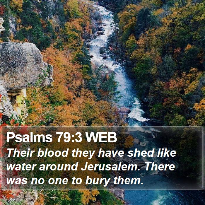 Psalms 79:3 WEB Bible Study