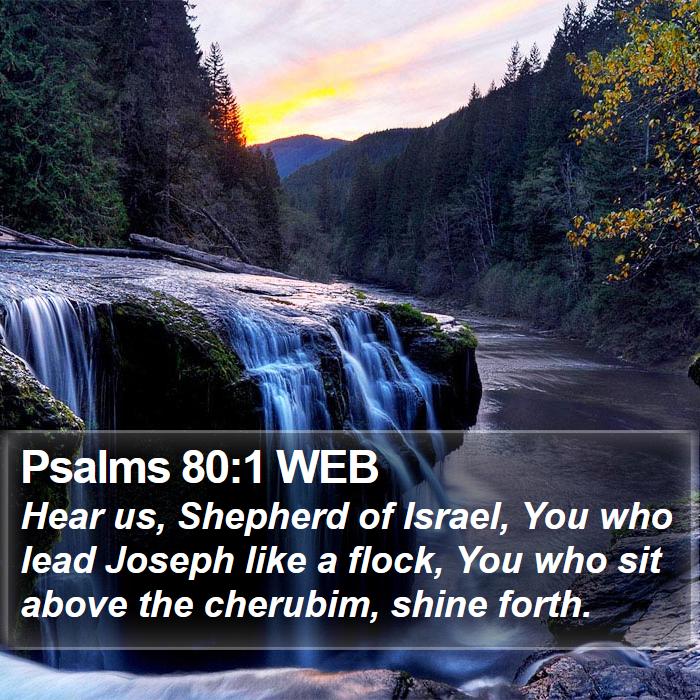 Psalms 80:1 WEB Bible Study