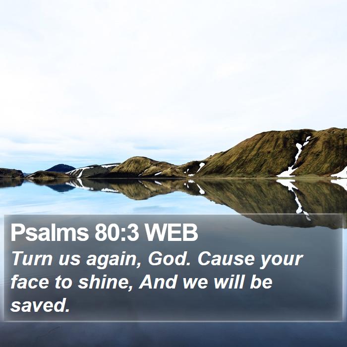 Psalms 80:3 WEB Bible Study