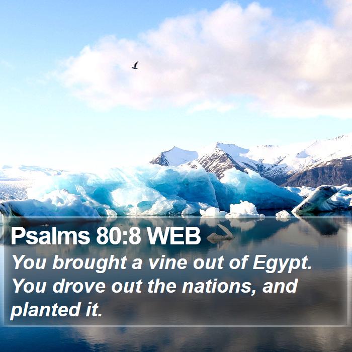 Psalms 80:8 WEB Bible Study