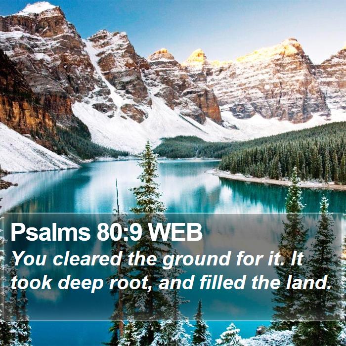 Psalms 80:9 WEB Bible Study