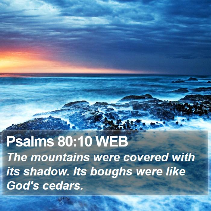 Psalms 80:10 WEB Bible Study