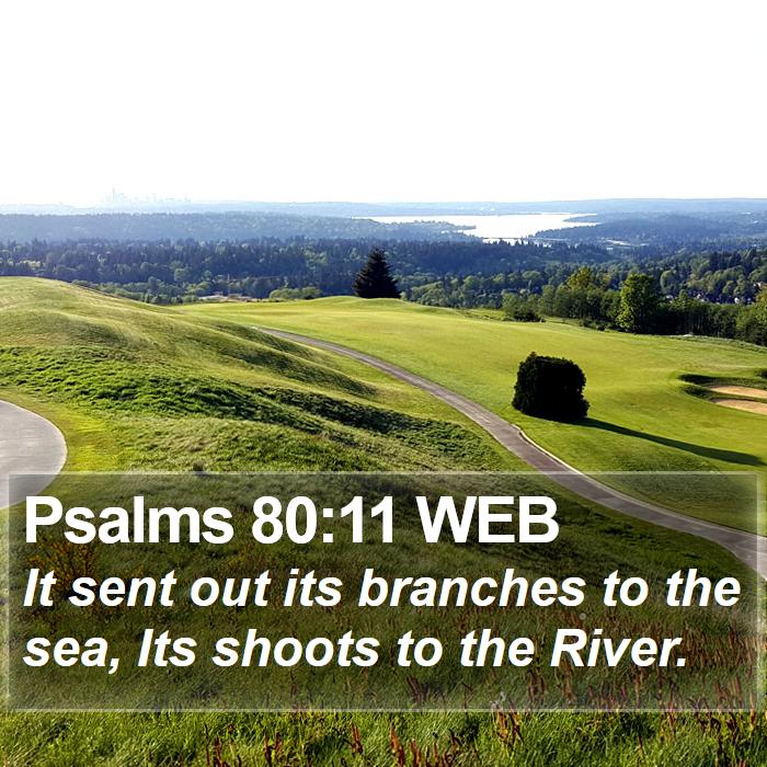 Psalms 80:11 WEB Bible Study