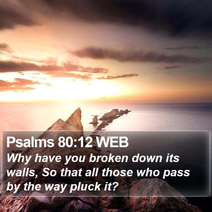 Psalms 80:12 WEB Bible Study