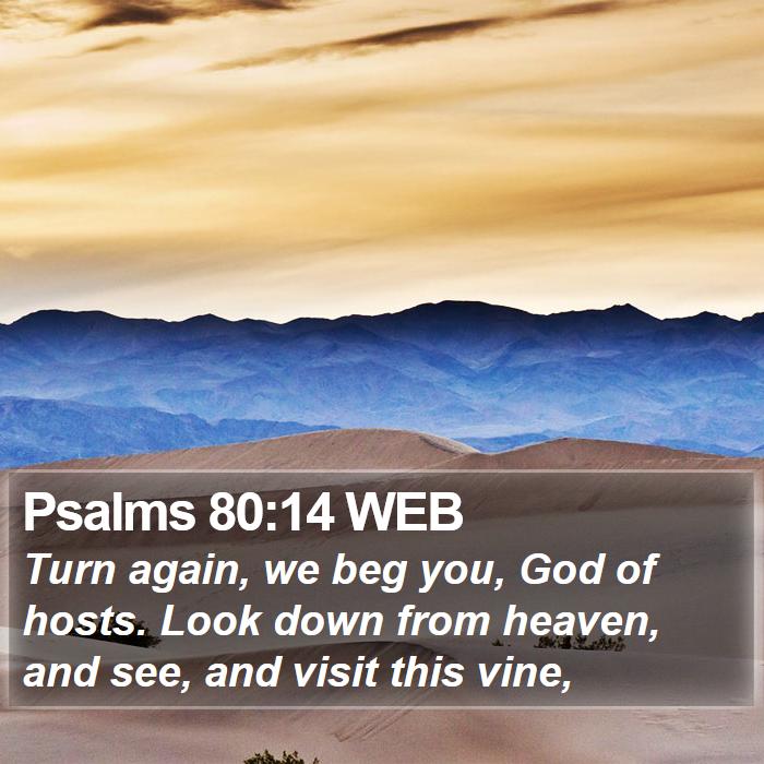 Psalms 80:14 WEB Bible Study