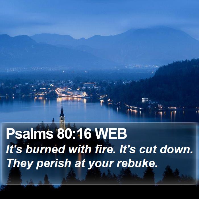 Psalms 80:16 WEB Bible Study