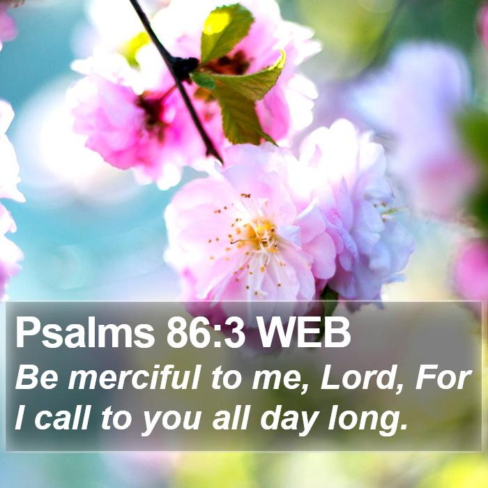 Psalms 86:3 WEB Bible Study