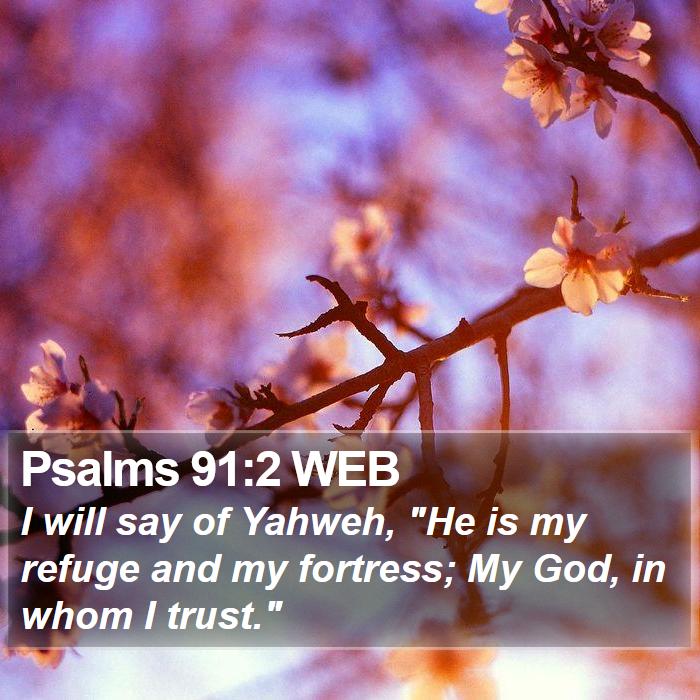 Psalms 91:2 WEB Bible Study