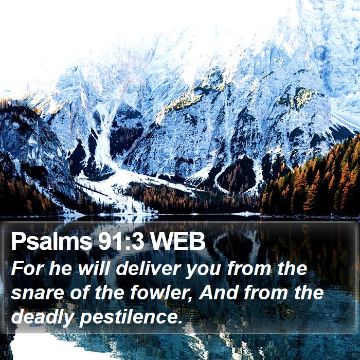 Psalms 91:3 WEB Bible Study