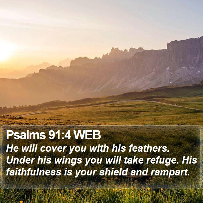 Psalms 91:4 WEB Bible Study