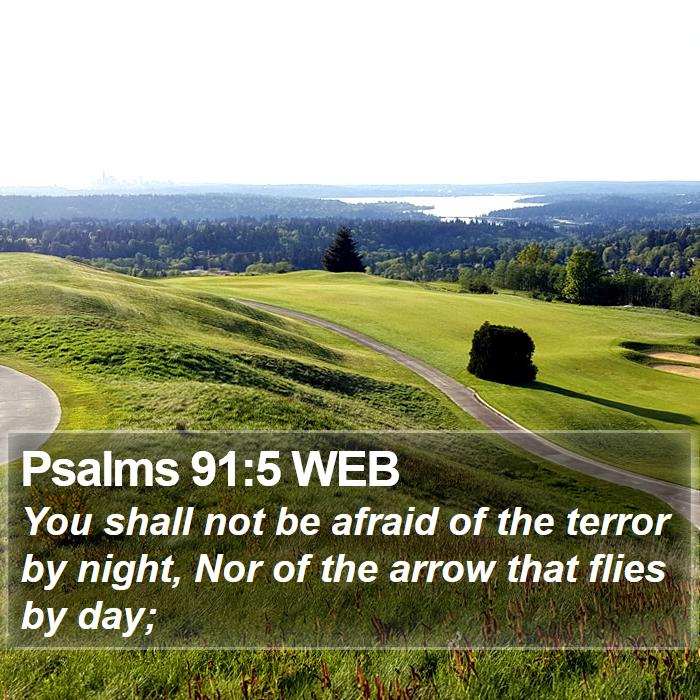 Psalms 91:5 WEB Bible Study