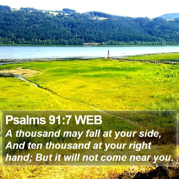 Psalms 91:7 WEB Bible Study