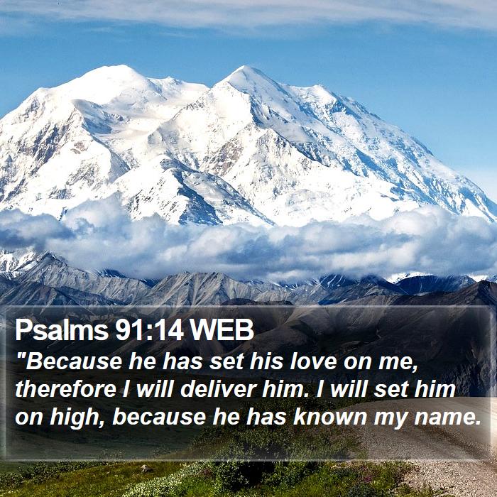 Psalms 91:14 WEB Bible Study