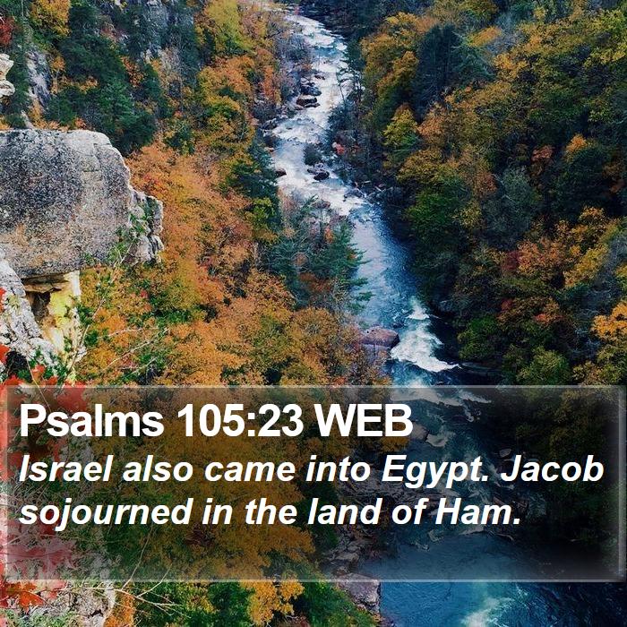 Psalms 105:23 WEB Bible Study