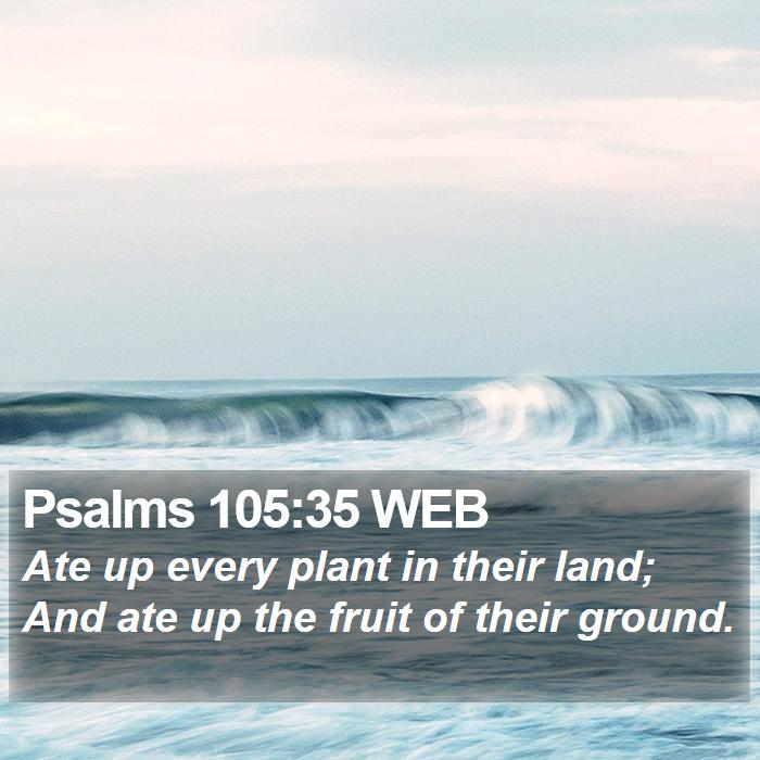 Psalms 105:35 WEB Bible Study