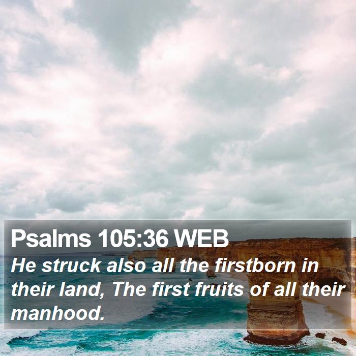 Psalms 105:36 WEB Bible Study