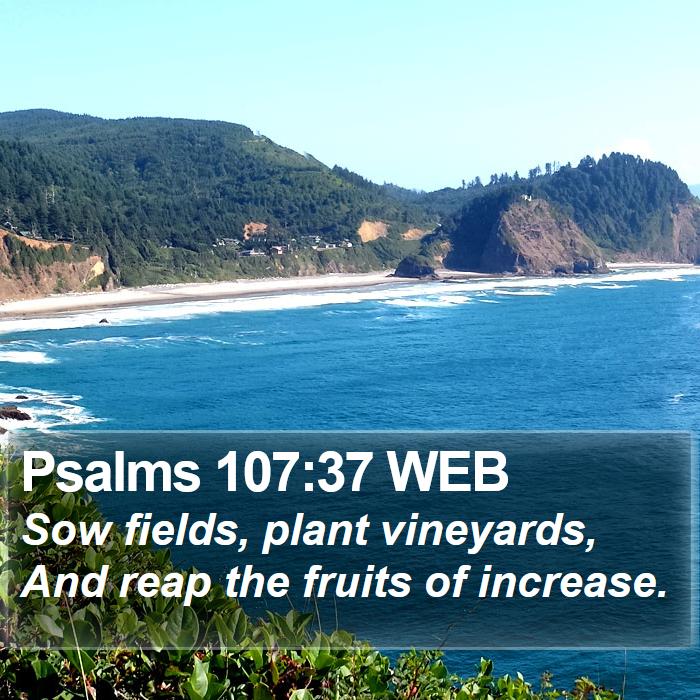 Psalms 107:37 WEB Bible Study