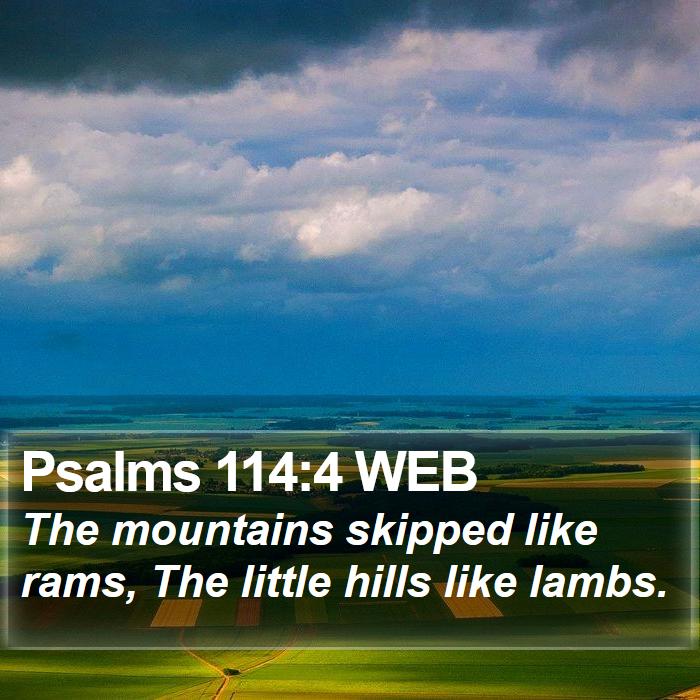 Psalms 114:4 WEB Bible Study