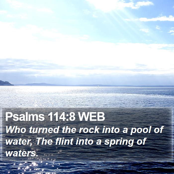 Psalms 114:8 WEB Bible Study