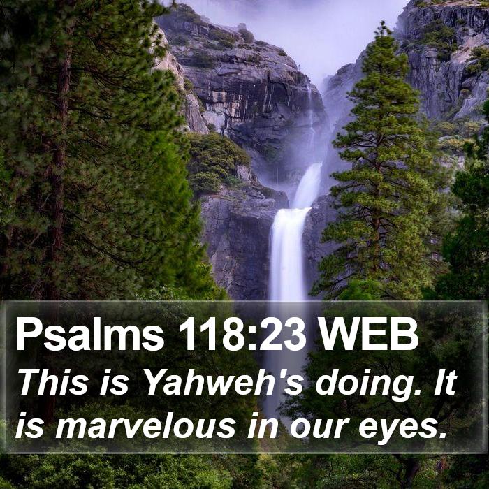 Psalms 118:23 WEB Bible Study