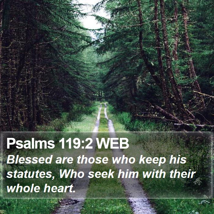 Psalms 119:2 WEB Bible Study