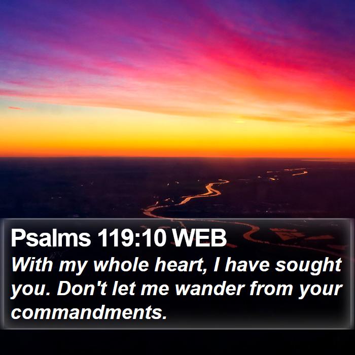 Psalms 119:10 WEB Bible Study